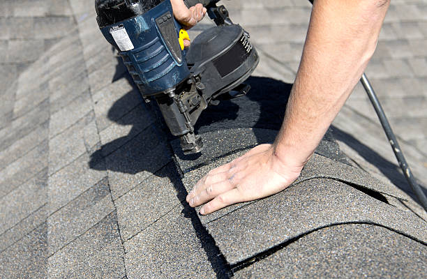 Best Roof Moss and Algae Removal  in Lowesville, NC